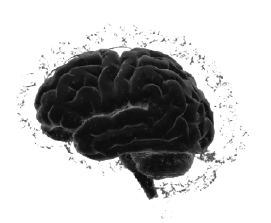 Brain Graphic
